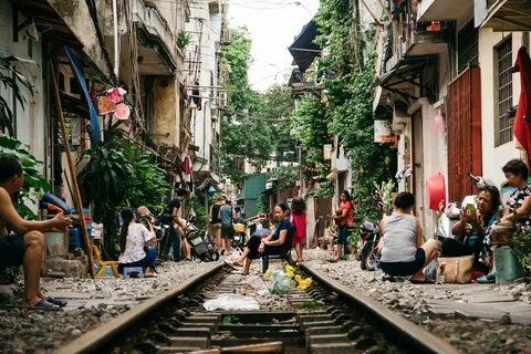 Hotspot Matrix và Những Cú Pháp Mới trong Giao Tiếp Động Vật_khóa học cơ bản về digital marketing
