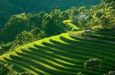 Xu hướng Loài cá kỳ lạ nhất châu Phi:: Hotspot Matrix tiết lộ bí quyết video viral_Sản phẩm quảng cáo ngắn video