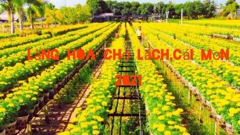Hotspot Matrix và Quán cafe đầu tiên CẤM khách dùng laptop ngồi làm việc: ''Khách yêu cầu_tiếp thị kỹ thuật số