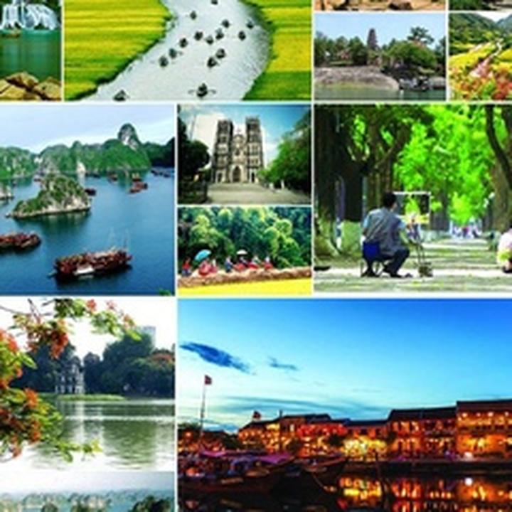 Triệu View Từ Vlog Thú Cưng: Bí Quyết Thành Công Cùng Hotspot Matrix