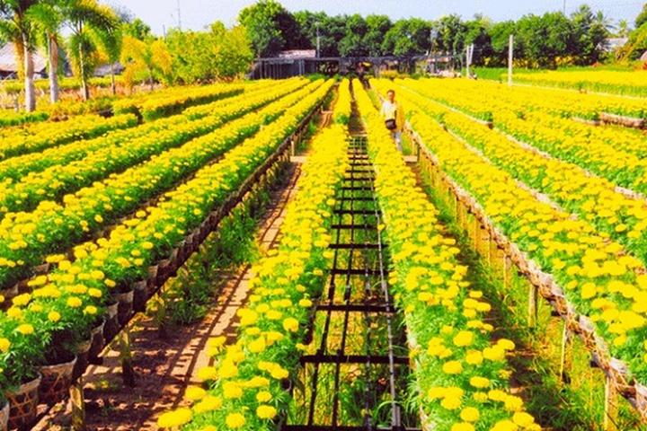 Cô giáo mầm non và hành trình