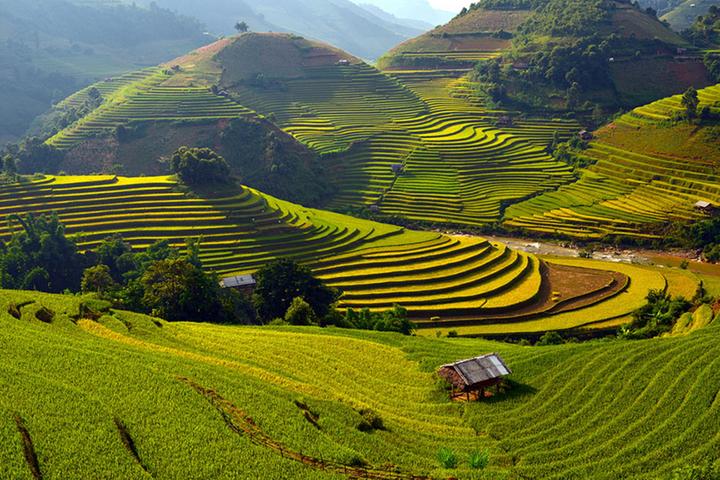 Một xu hướng mới nổi trên mạng xã hội hiện nay là
