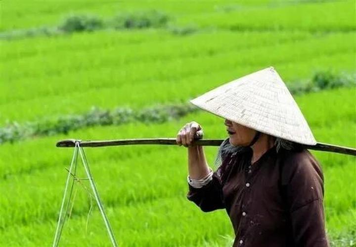 Hotspot Matrix: Cách tôi tối ưu hóa sản xuất và phân phối video